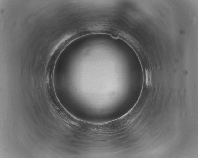 X0000071930723200607141359