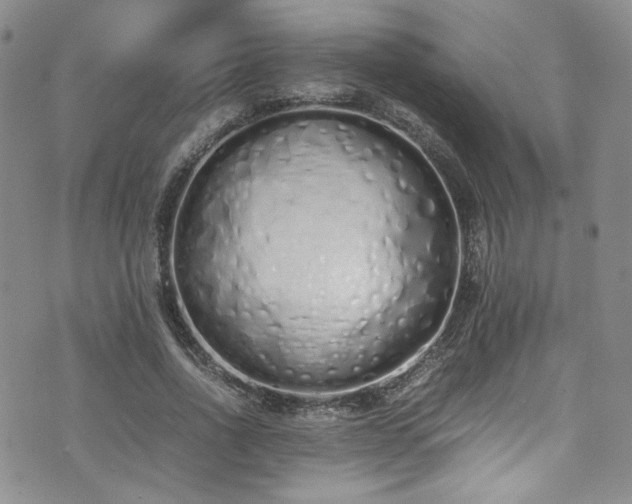 X0000071930734200607141359