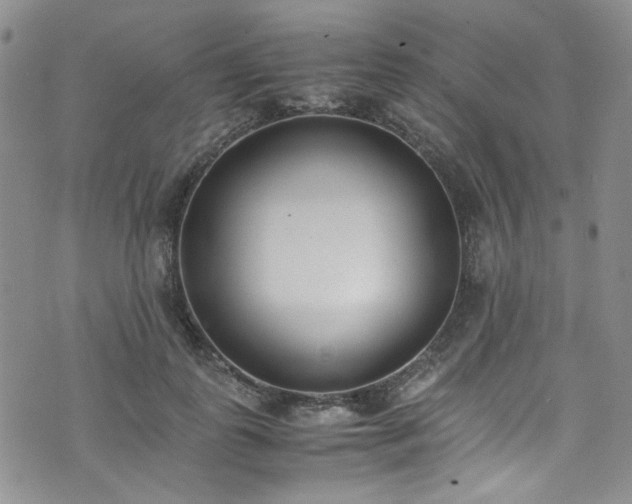 X0000071930747200607141400