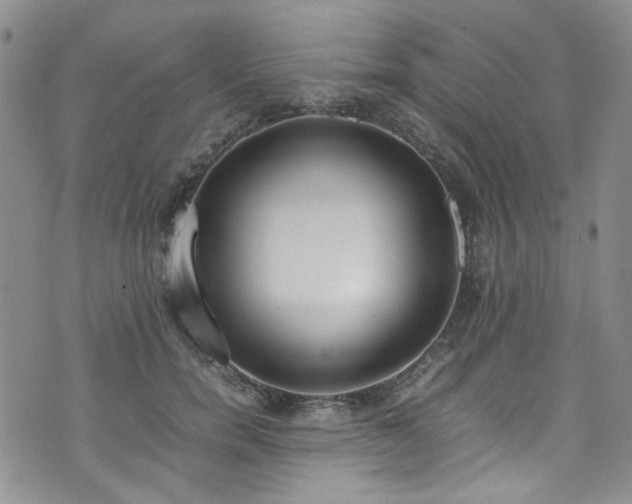 X0000071930750200607141400