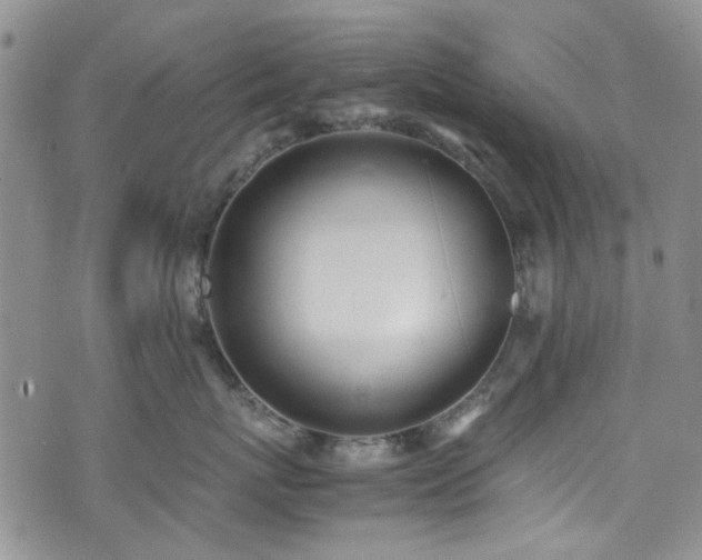X0000071930767200607141400