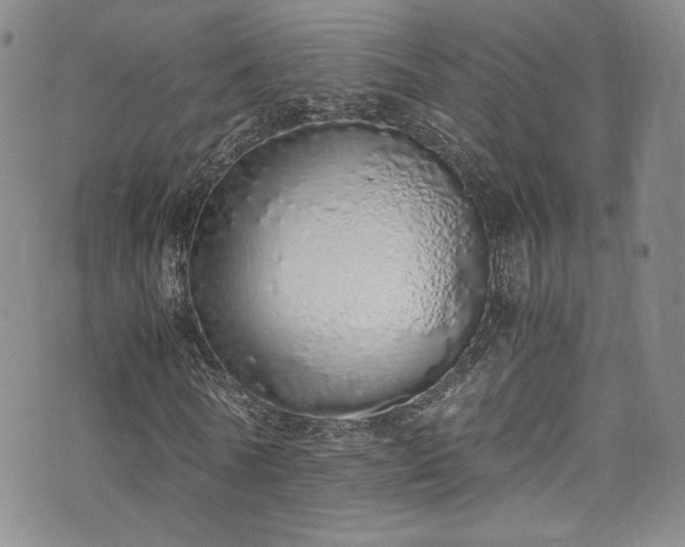 X0000071930770200607141359