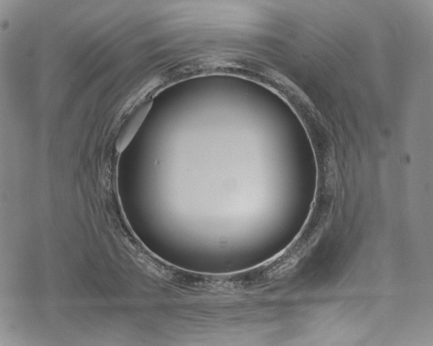 X0000071930785200607141359