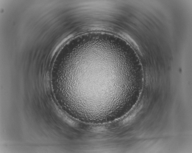 X0000071930798200607141359