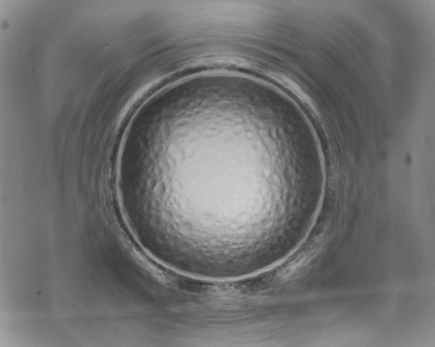 X0000071930799200607141359