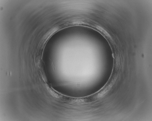 X0000071930801200607141359