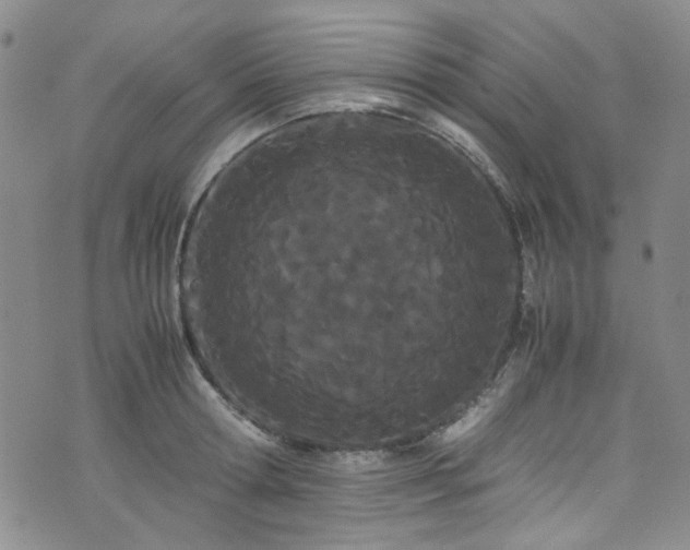 X0000071930802200607141359