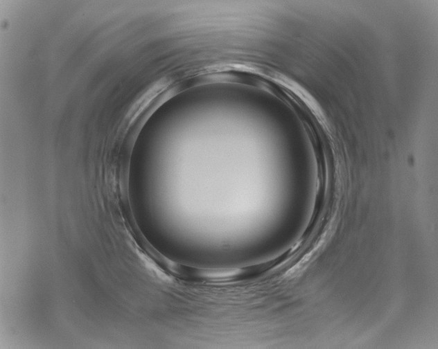 X0000071930809200607141359