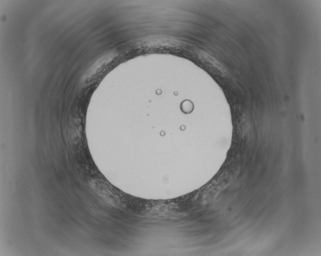 X0000071930824200607141358