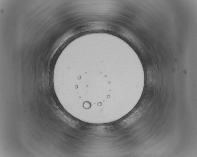 X0000071930828200607141358