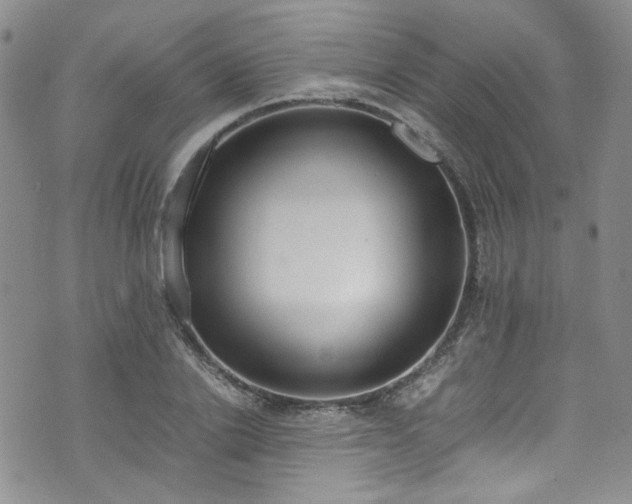 X0000071930838200607141358
