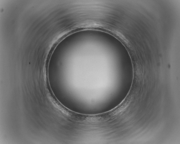 X0000071930840200607141358