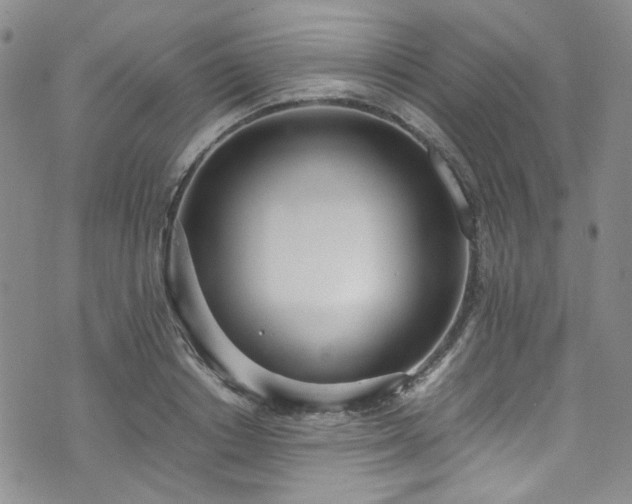 X0000071930842200607141358