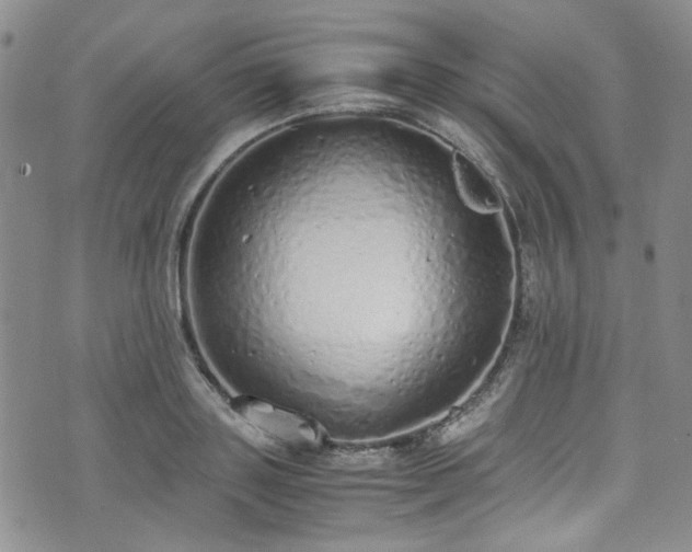 X0000071930843200607141358
