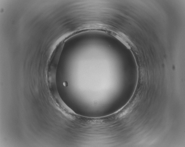 X0000071930846200607141358