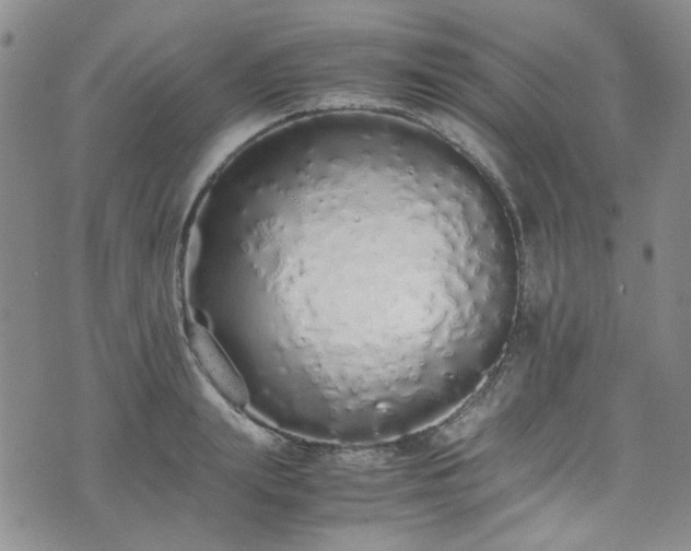 X0000071930847200607141358