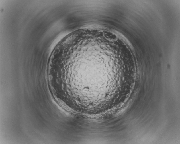 X0000071930855200607141358