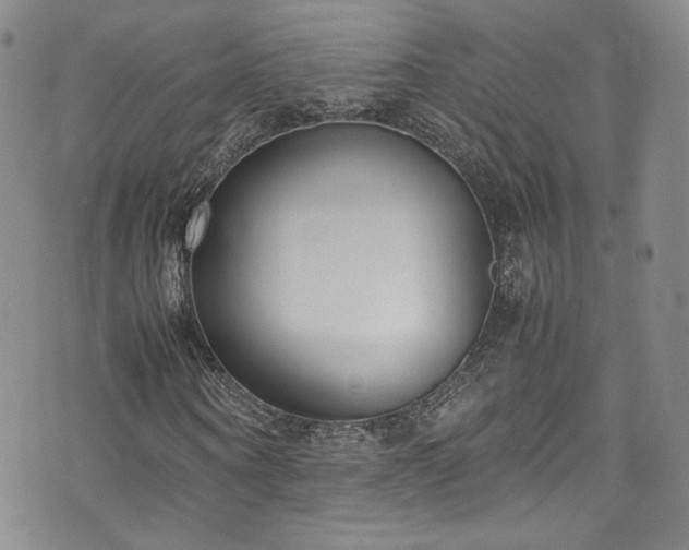 X0000071930866200607141358