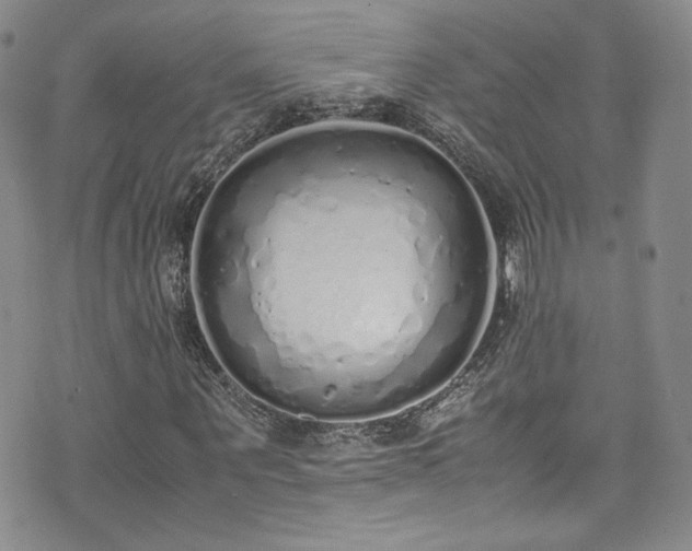 X0000071930867200607141358