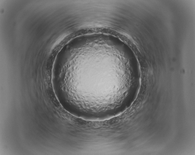 X0000071930871200607141358