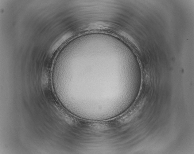 X0000071930874200607141358