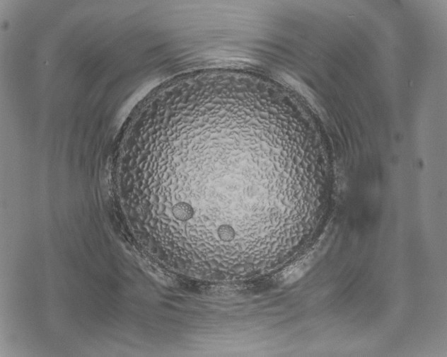 X0000071930875200607141358