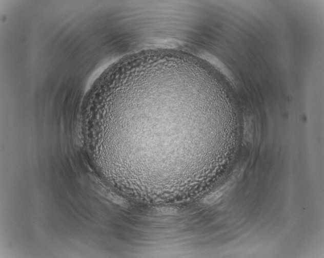 X0000071930878200607141357