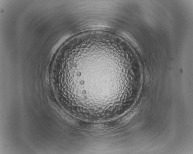 X0000071930883200607141357