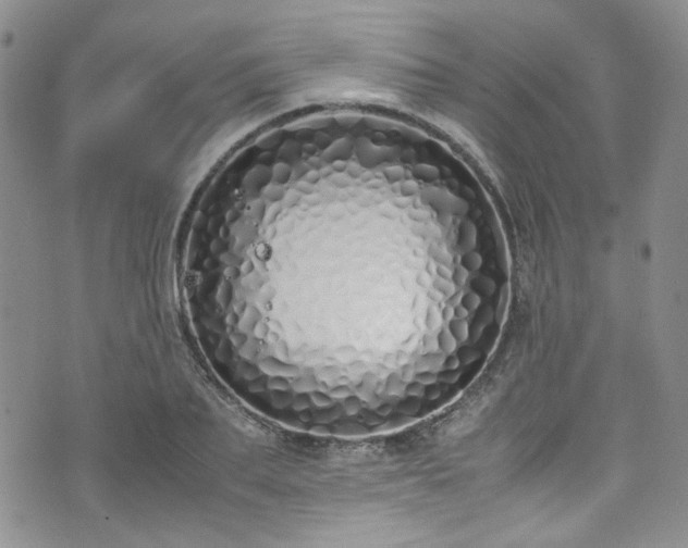 X0000071930887200607141357