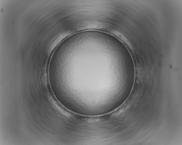 X0000071930890200607141357