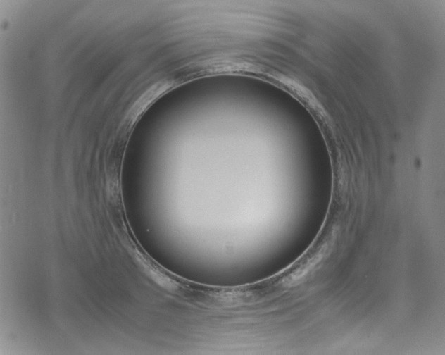 X0000071930897200607141357