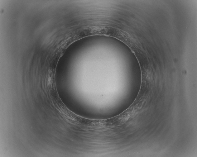 X0000071930914200607141356