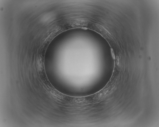 X0000071930915200607141356