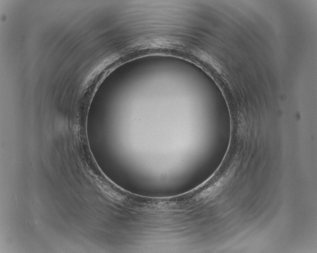 X0000071930922200607141356