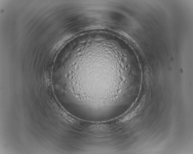 X0000071930929200607141356