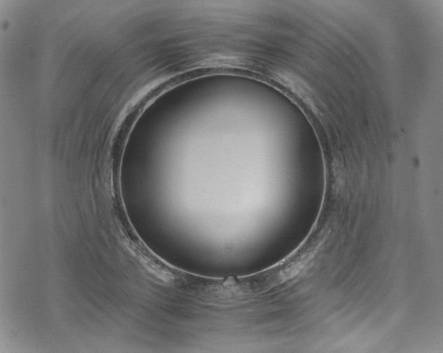 X0000071930931200607141356