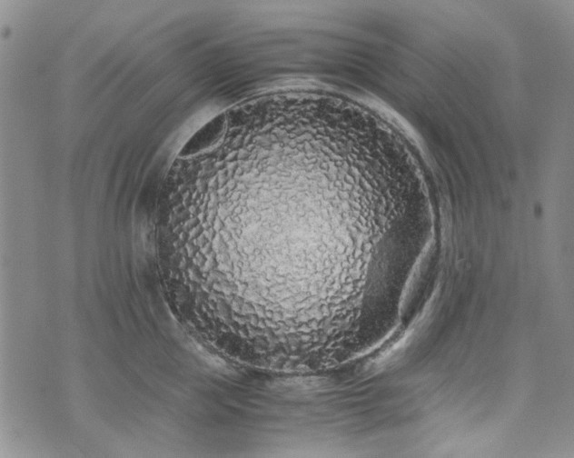 X0000071930953200607141357