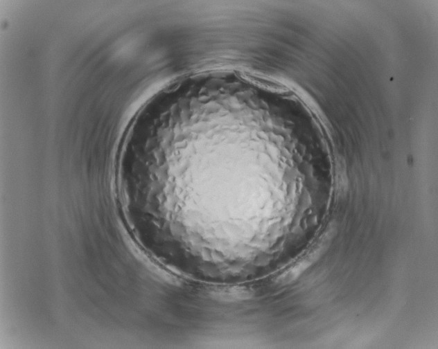 X0000071930957200607141357