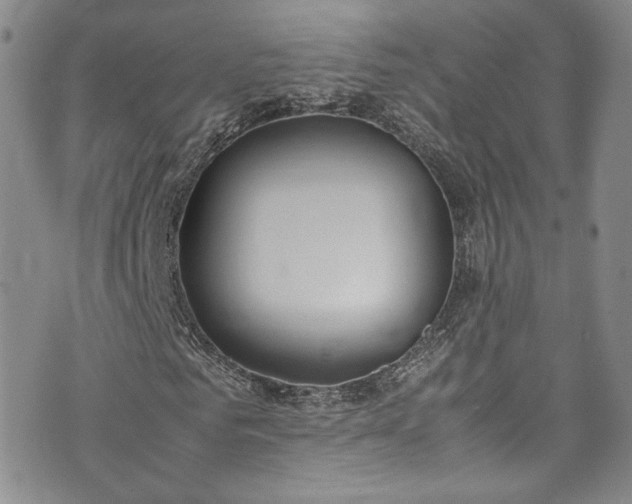 X0000071930961200607141356