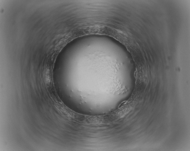 X0000071930962200607141356