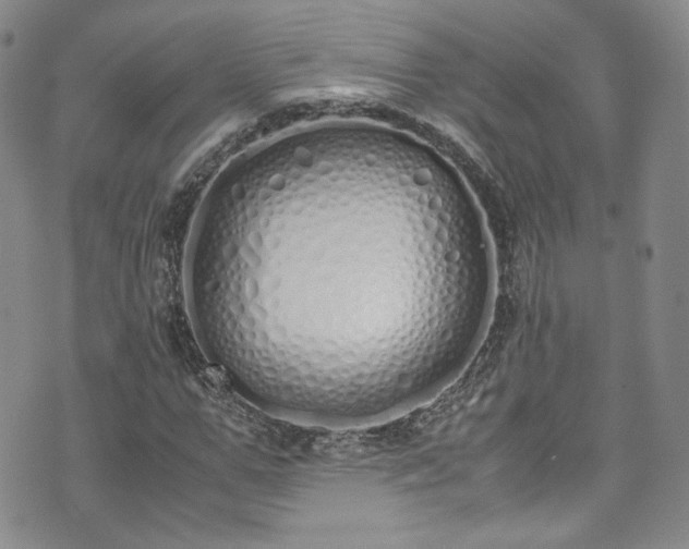 X0000071930967200607141356