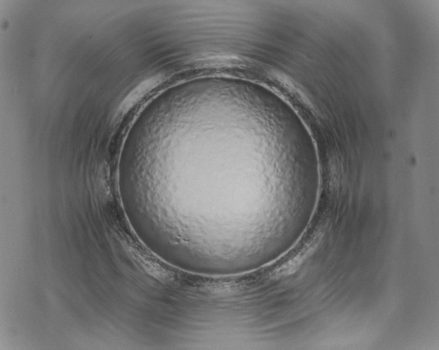 X0000071930970200607141356