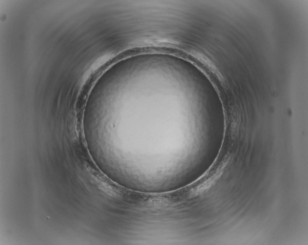 X0000071930974200607141356