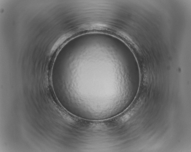X0000071930978200607141356
