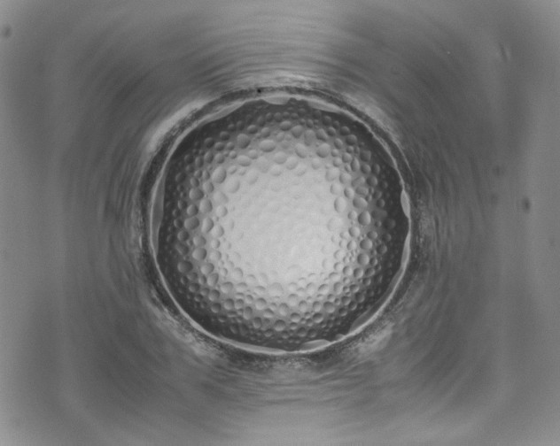 X0000071930979200607141356