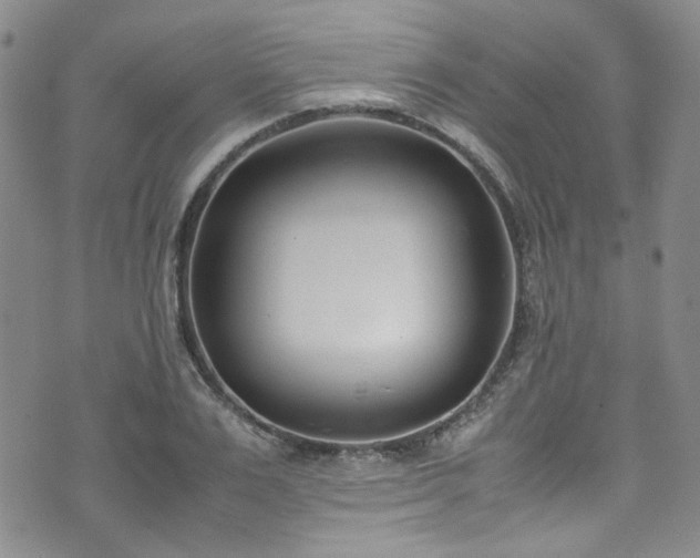 X0000071930983200607141356