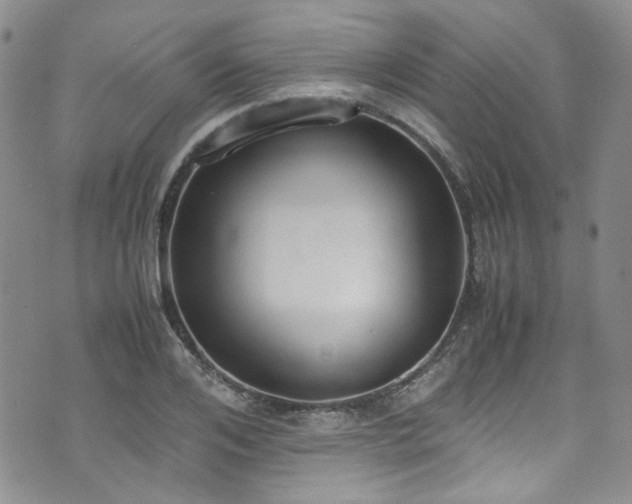 X0000071930984200607141356