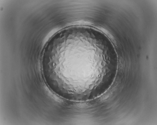 X0000071930998200607141356