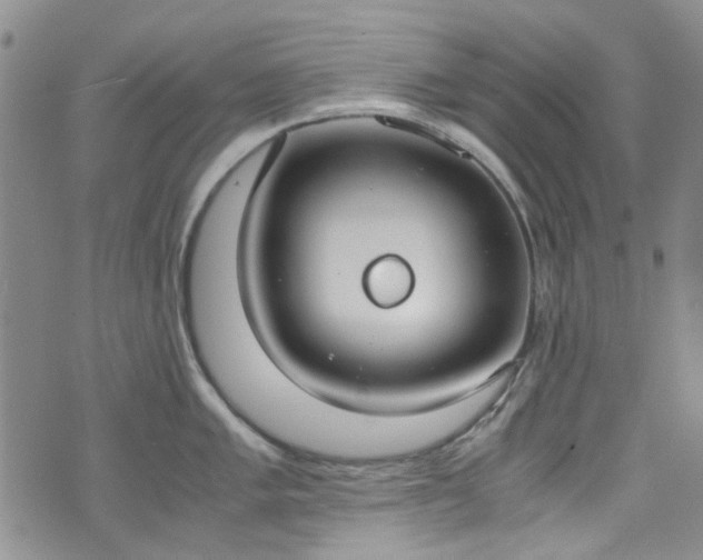 X0000071931005200607141355