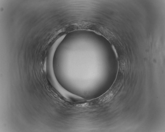 X0000071931010200607141355
